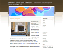 Tablet Screenshot of multiblitz.com.pl